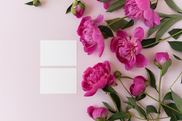 Blanco papieren uitnodigingskaarten met kopie ruimte Roze pioen bloemen boeket op neutrale pastel elegante roze achtergrond Plat lag bovenaanzicht minimale bloemensamenstelling