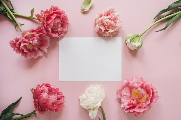 Blanco vel papier kaart in ronde frame van roze en witte pioenroos tulp bloemen op roze