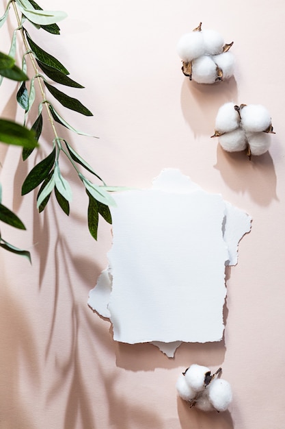 blanco vel papier lange schaduwen van een olijftak en katoenbloemen op een roze