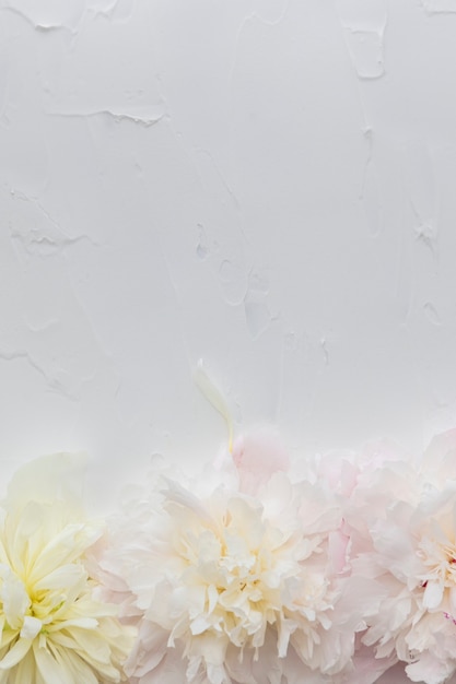 Photo blank beautiful flowers background