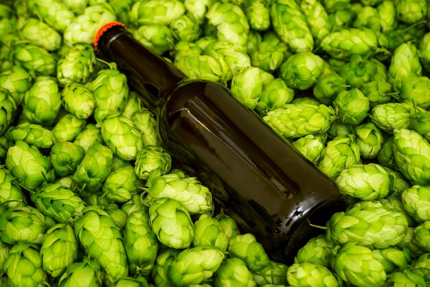 Пустая бутылка пива, лежащая на зеленых хмельных конусах.