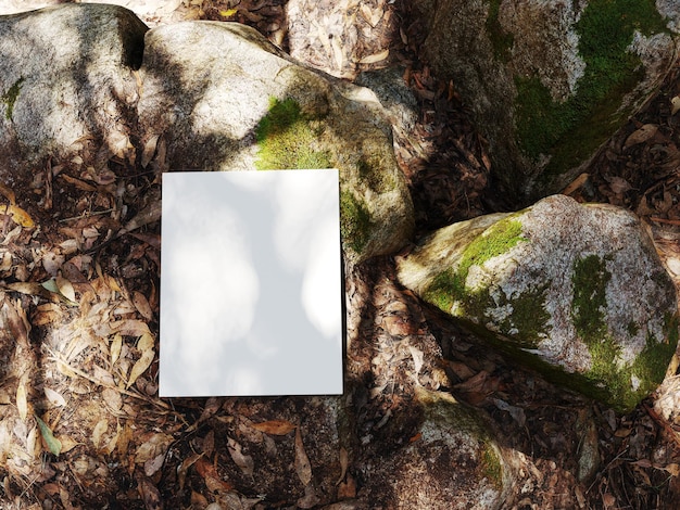 Blank book model on mossy rock, notebook mockup, mockup on nature background 4