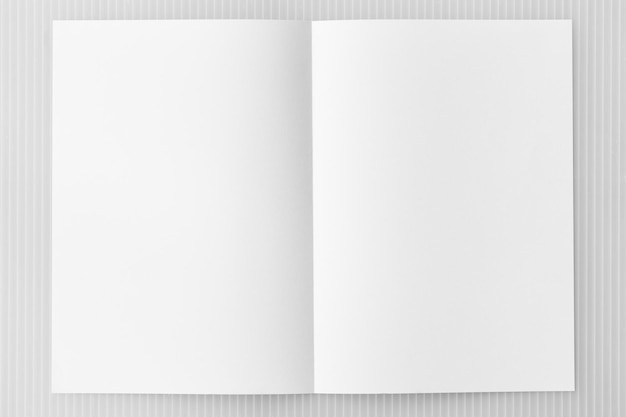 Blank book paper: \