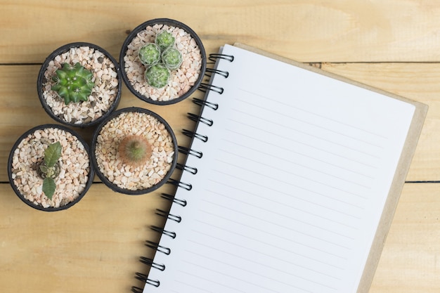 Blank book with cactus on wooden table