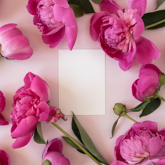 Фото Чистый лист фирменной бумажной карты с копировальным пространством для макета и элегантными цветами пионов на розовом фоне эстетическая цветочная композиция