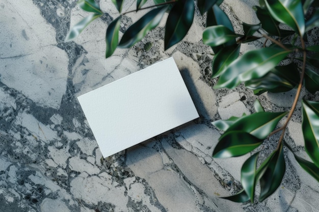 Blank business card mockup with green leaves on marble background