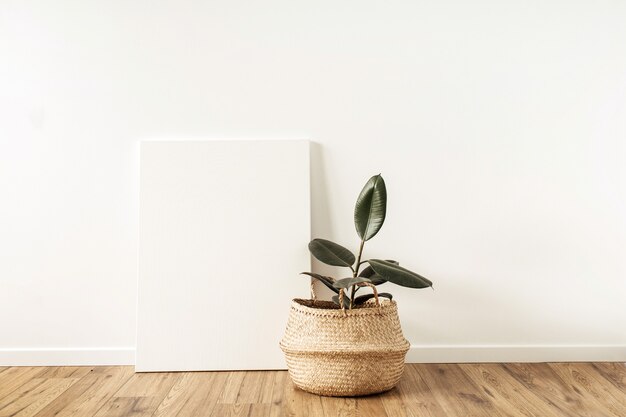 Photo blank canvas with empty mockup copy space