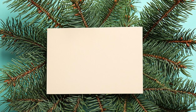 Пустая карта на ветвях рождественской елки в качестве фонового изображения сверху