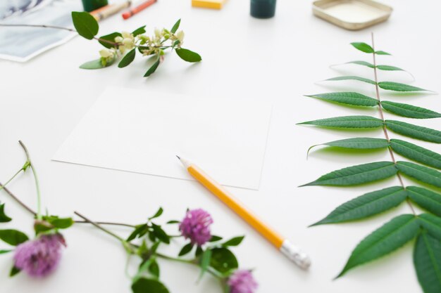 Blank card in green plants frame