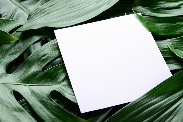 Blank card on green tropical leaves