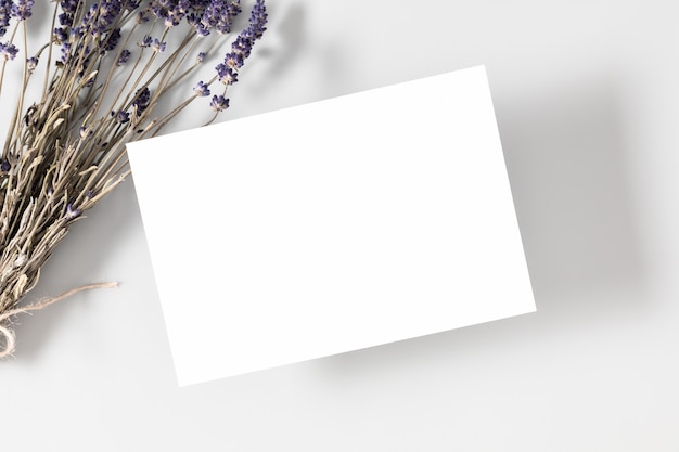 Photo blank card or note with dried lavender flowers on white background