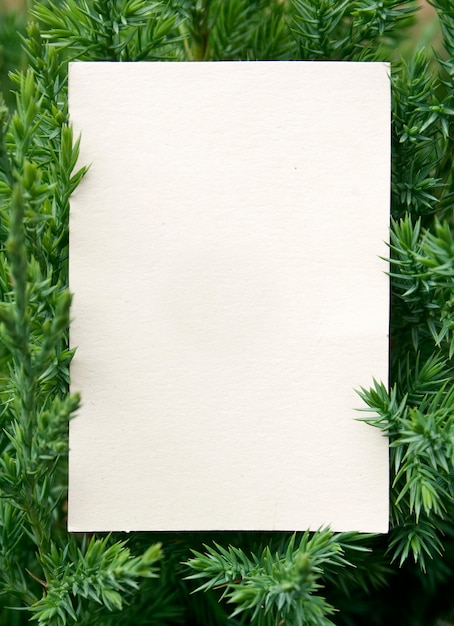 Blank card in pine for advertising