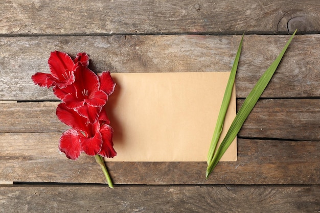 Blank card with beautiful gladiolus on wooden background