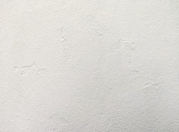 Foto colore bianco del muro di cemento bianco per lo sfondo della trama