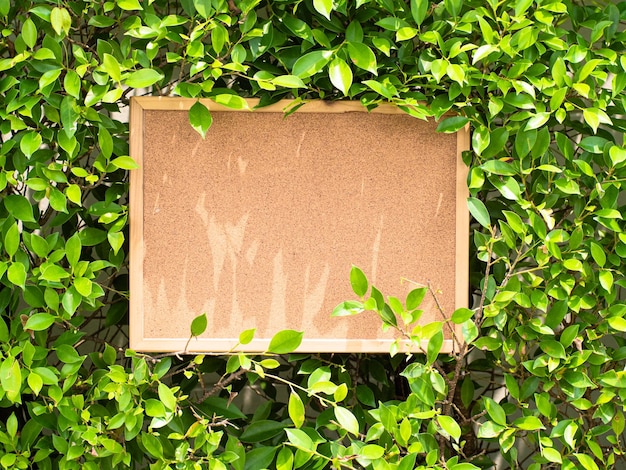 Blank cork message pin board