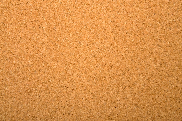 Photo blank corkboard