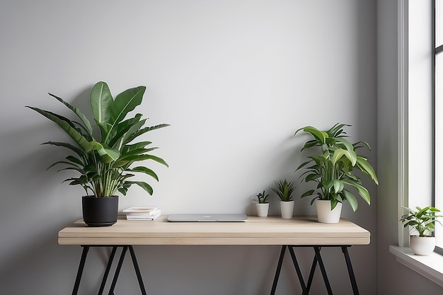 Blank desk with a house plant on a wall