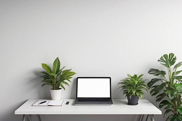 Blank desk with a house plant on a wall