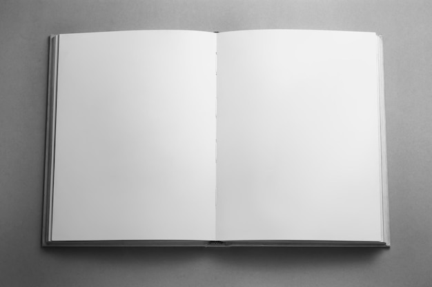 Blank empty book isolated on grey