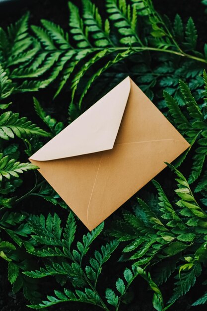 Blank envelope and green leaves in nature paper card as background correspondence and newsletter