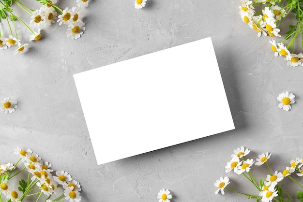 Blank greeting card in frame made of white chamomile or camomile flowers on gray background Mock up Flat lay