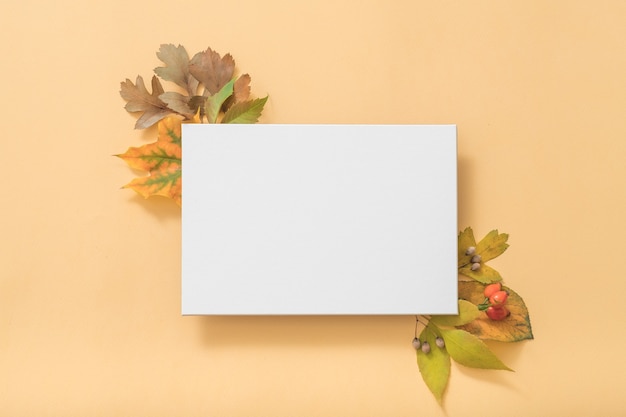 Blank greeting card with autumn leaves, top view