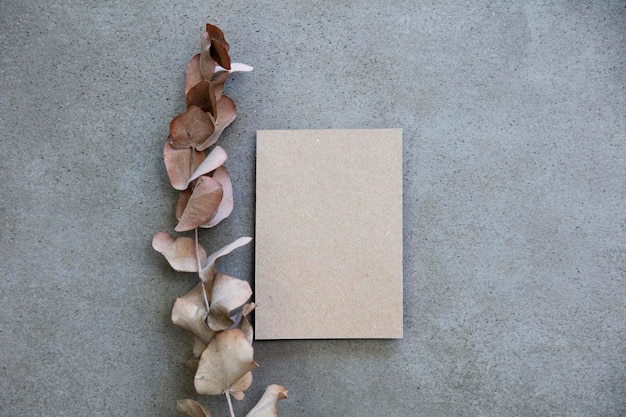 Blank kraft brown invitation stationery card with dried eucalyptus leaves