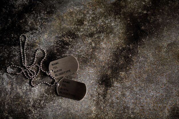 Blank military dog tags on abandoned rusty metal plate. Memories and sacrifices concept.