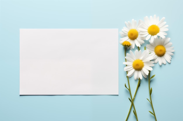 Blank minimal white horizontal postcard mockup with daisy flowers Paper card mockup with copy space
