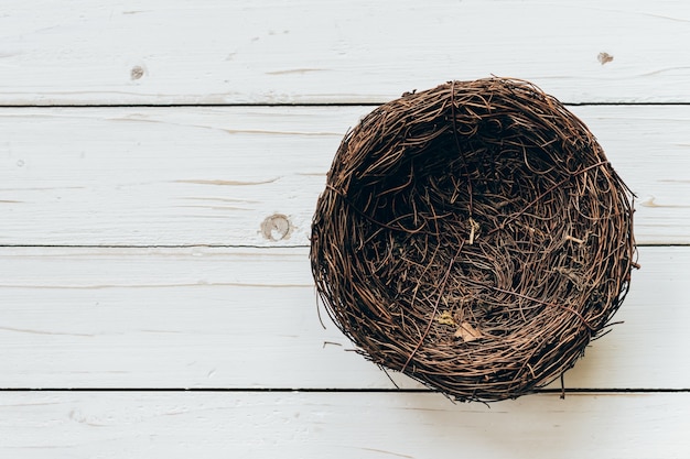 Blank nest on wood background with space