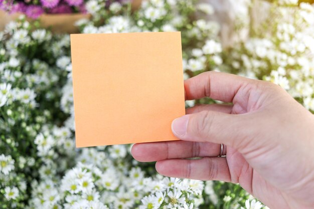 写真 白い紙を手に美しい白いカッターの花束を背景にコピースペースをカードにメッセージを置く