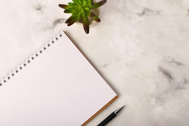 Blank notebook with pen near it on the marble backgroundLittle green cactus on the background