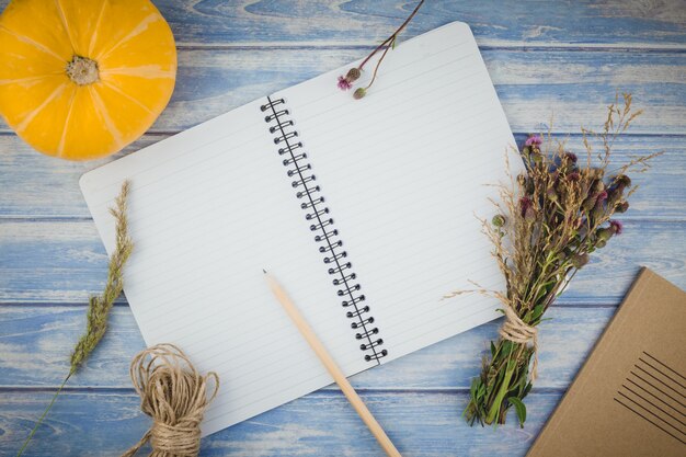 Blank notebook with pencil and autumn pumpkins