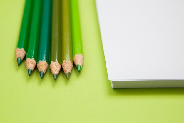 Blank notebook with pencils different shades of green on light green background