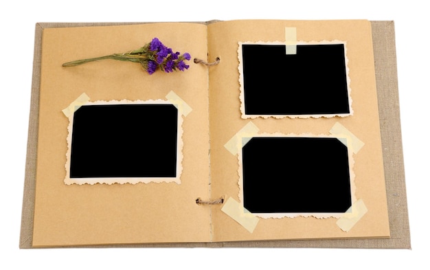 Фото Пустые старые фотографии в альбоме и сушеный цветок, изолированный на белом