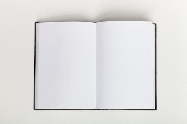 Blank open book