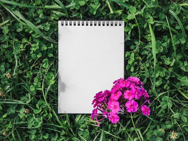 Photo blank page of the notebook lying on a bright clover. top view