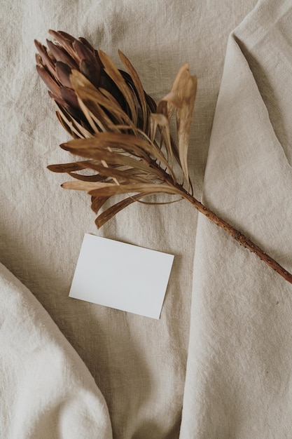 Blank paper card with copy space dried protea flower on neutral beige linen blanket Top view flat lay minimalist aesthetic luxury bohemian business branding concept