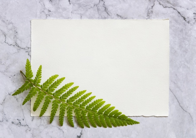 Blank paper card with fern leaf on white marble table top view. Tropical mock-up scene with greeting card flat lay