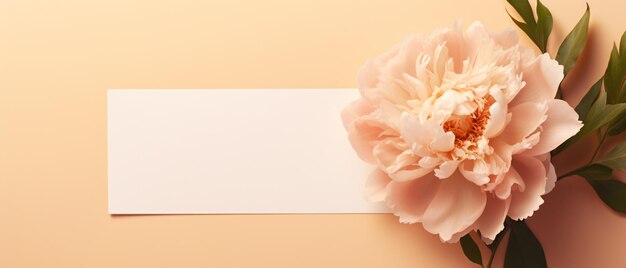 Blank paper card with mockup copy space elegant