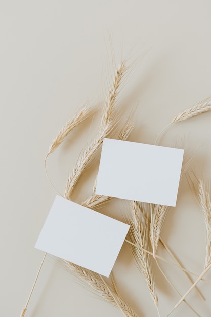 Blank paper cards with rye, wheat stalks on beige