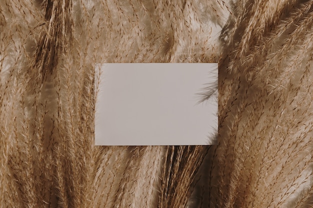 Blank paper sheet card on pampas grass