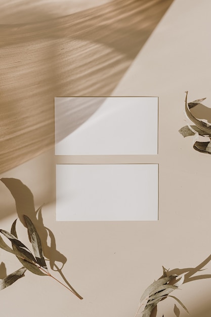 Blank paper sheet cards with empty copy space, wooden tray and dry leaves with sunlight shadows on beige