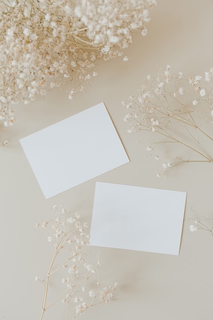 Blank paper sheet cards with gypsophila flowers on beige