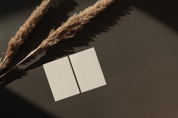 사진 흉내낸 복사 공간이 있는 빈 종이 시트 카드 어두운 회색 배경에 마른 팜파스 풀 줄기와 햇빛 그림자가 있는 플랫 레이 탑 뷰 미적 최소 비즈니스 브랜드 템플릿