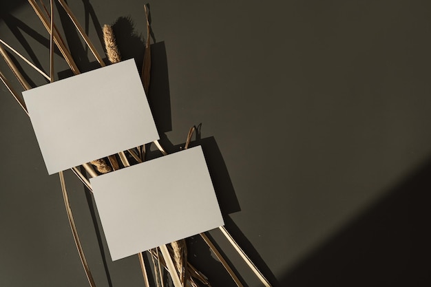 Blank paper sheet cards with mockup copy space fluffy dried pampas grass in aesthetic warm sunlight shadow on dark background Minimal business brand template Flat lay top view