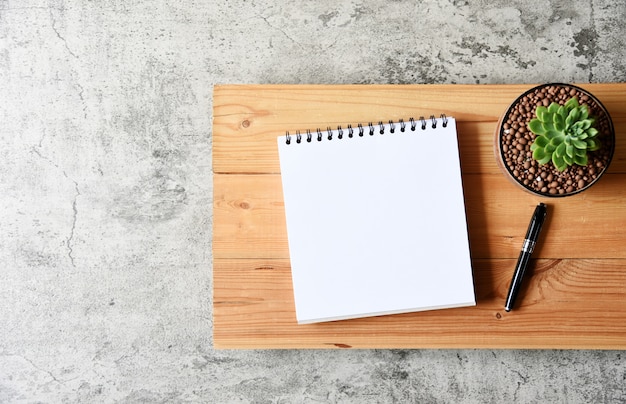 Blank paper,Succulent and pen on wooden table with copy space