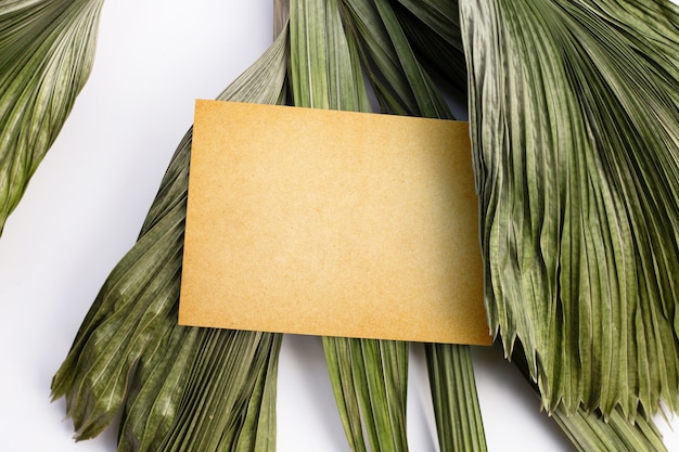 Blank paper on tropical palm dry leaves