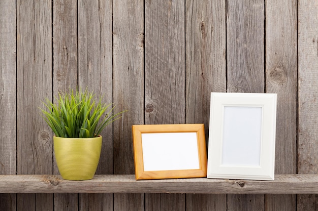 Blank photo frames and plant