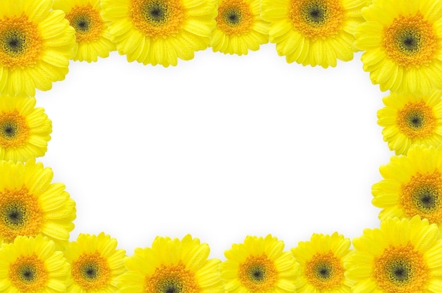写真 白い背景の黄色いゲルベラ・デイジーで作られた白い絵のフレーム